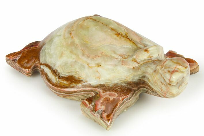 Carved Green Banded Calcite Turtle - Pakistan #265516